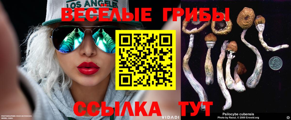 Галлюциногенные грибы MAGIC MUSHROOMS  Вход с VPN  Казань 